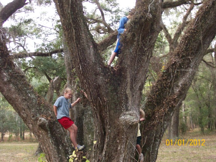 2012-Jan-02HGR4X4Croom 110